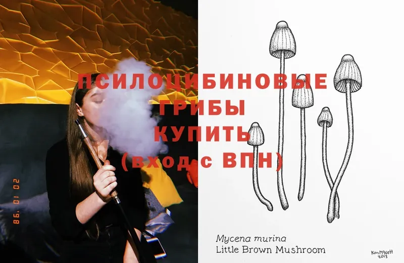 Псилоцибиновые грибы Psilocybe  блэк спрут ТОР  Дегтярск 